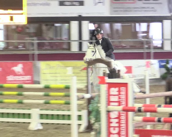 Hallenreitturnier Vlotho-Exter 2017
