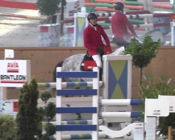 Reitturnier Illertissen 2017