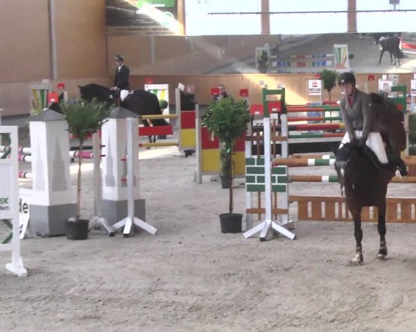 Reitturnier Illertissen 2017