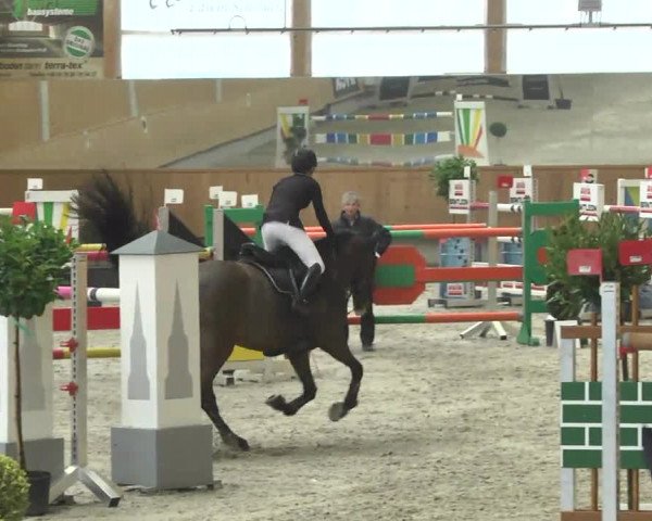 Reitturnier Illertissen 2017