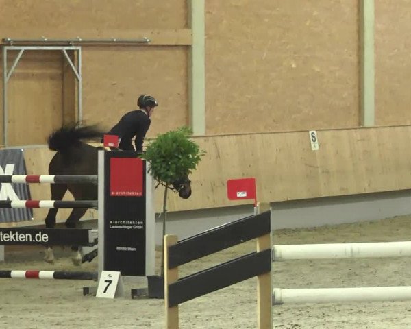 Reitturnier Illertissen 2017