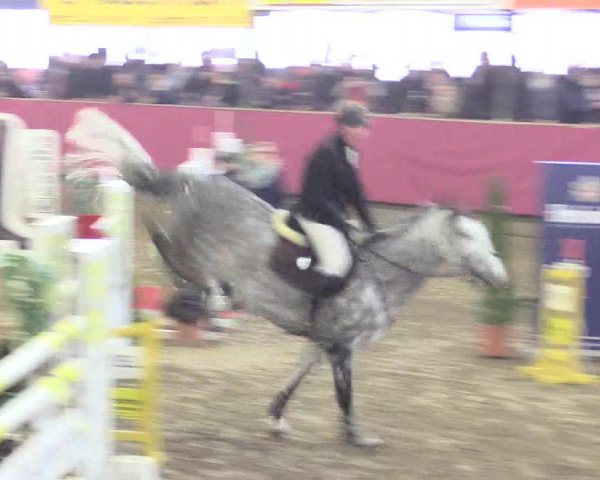 Hallenreitturnier Vlotho-Exter 2017