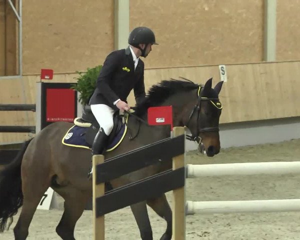 Reitturnier Illertissen 2017