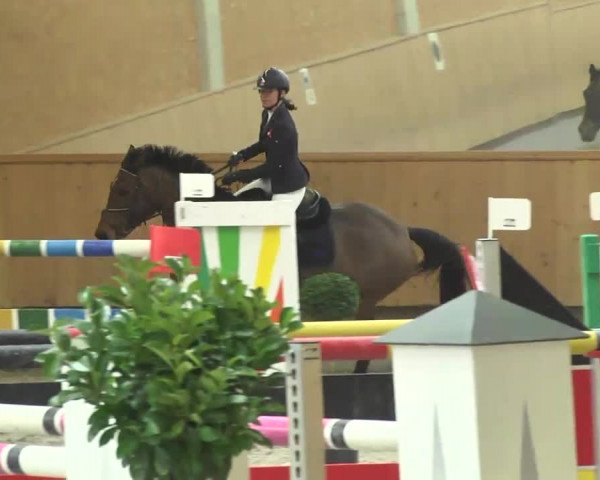 Reitturnier Illertissen 2017