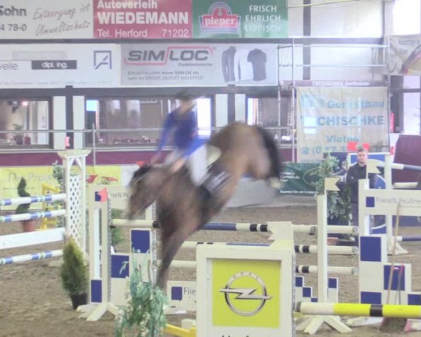 Hallenreitturnier Vlotho-Exter 2017