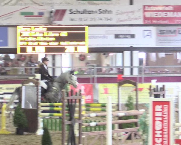 Hallenreitturnier Vlotho-Exter 2017