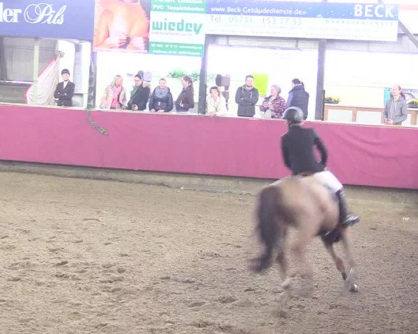 Hallenreitturnier Vlotho-Exter 2017