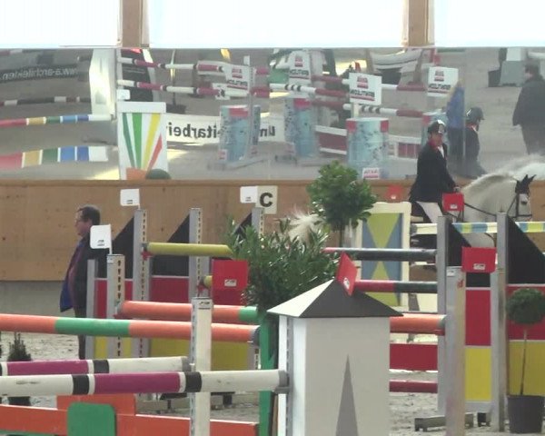 Reitturnier Illertissen 2017