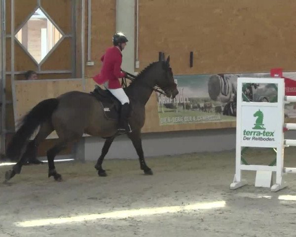 Reitturnier Illertissen 2017