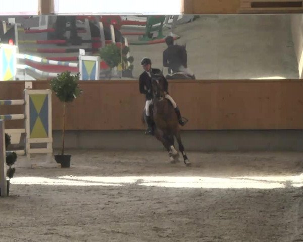 Reitturnier Illertissen 2017