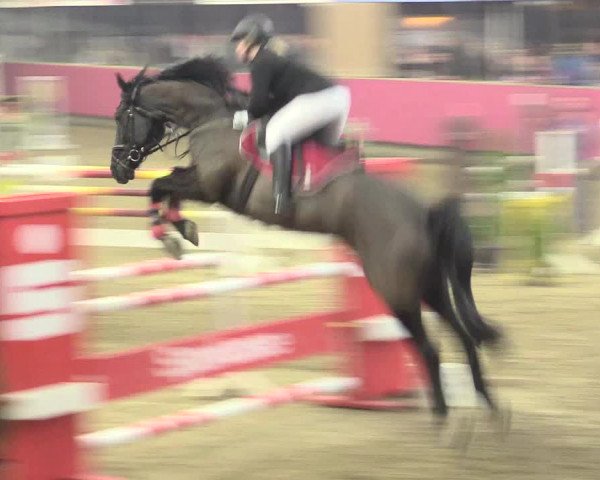 Hallenreitturnier Vlotho-Exter 2017