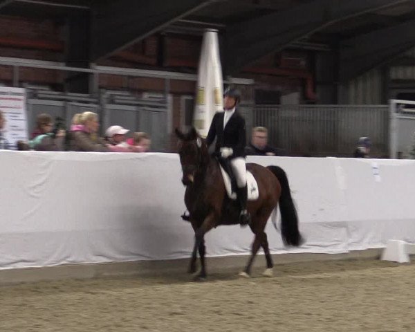 18. Grevener-Dressurtage 2017