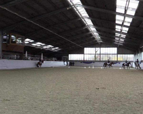 18. Grevener-Dressurtage 2017