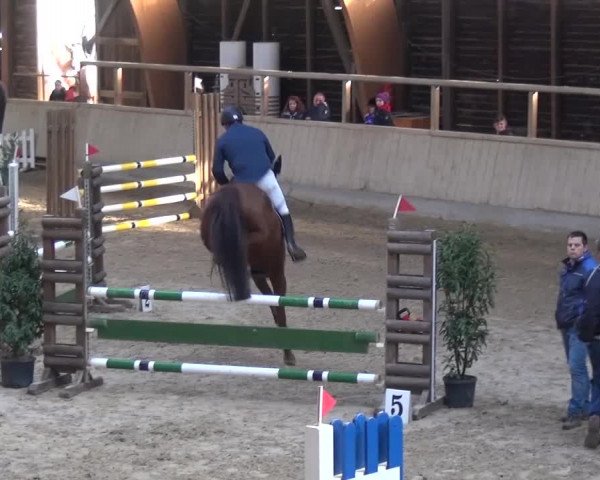 Reitturnier Heidelberg-Kirchheim 2017