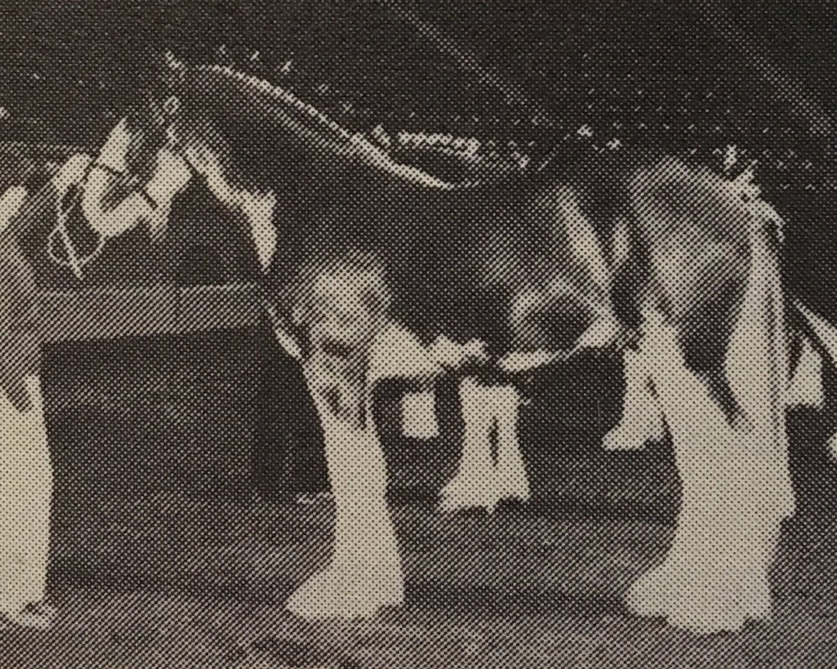stallion Excelsior's Royal Rusty (Clydesdale, 1983, from Doura Royal Scot)