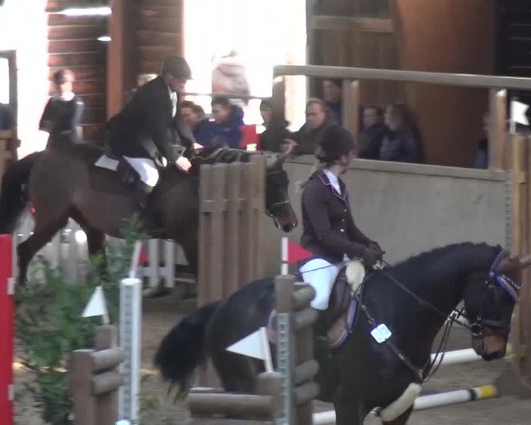 Reitturnier Heidelberg-Kirchheim 2017