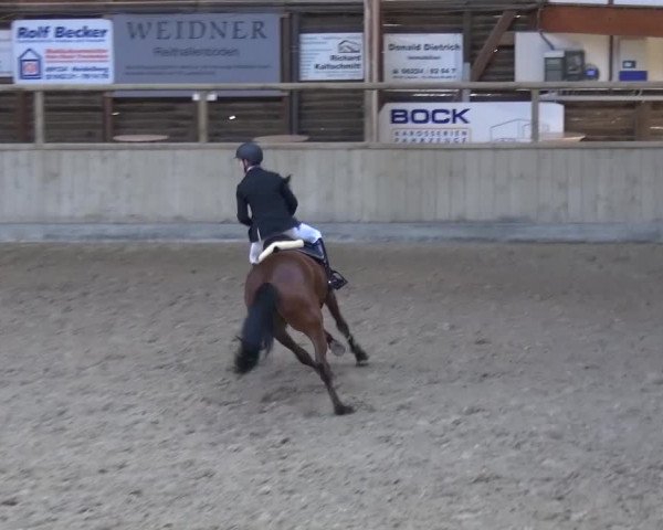 Reitturnier Heidelberg-Kirchheim 2017