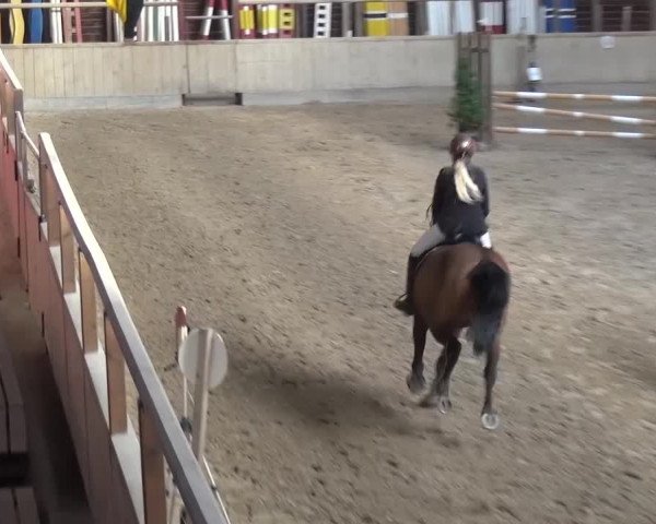 Reitturnier Heidelberg-Kirchheim 2017