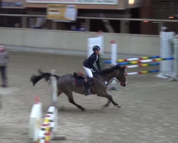 Reitturnier Heidelberg-Kirchheim 2017