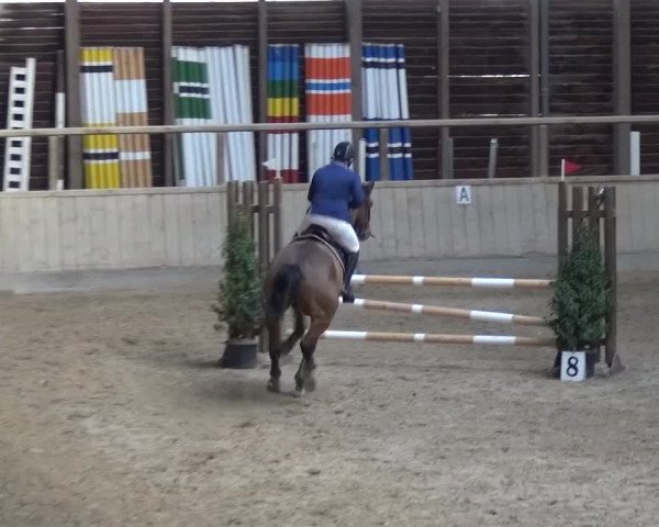 Reitturnier Heidelberg-Kirchheim 2017