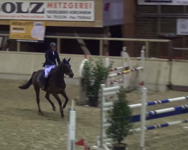 Reitturnier Heidelberg-Kirchheim 2017