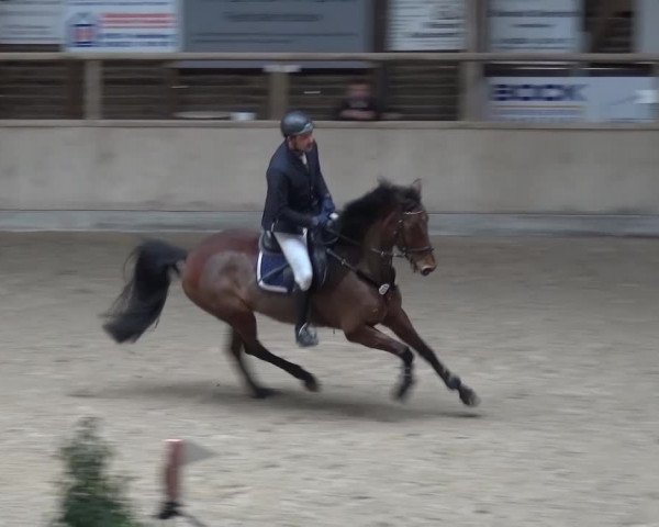 Reitturnier Heidelberg-Kirchheim 2017