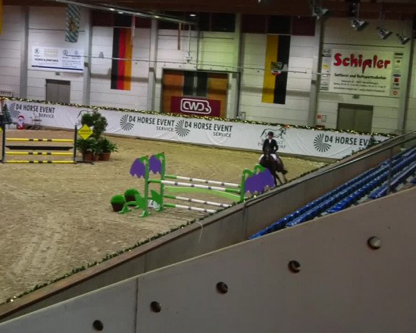 Christmas Jumping Trophy Prussendorf 2021
