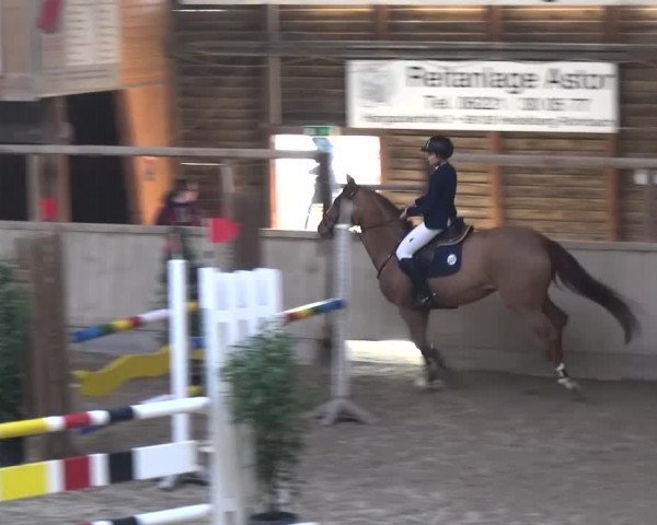 Reitturnier Heidelberg-Kirchheim 2017