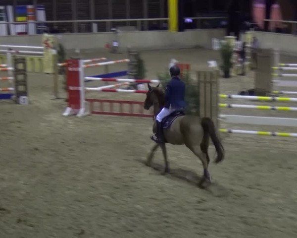 Reitturnier Heidelberg-Kirchheim 2017