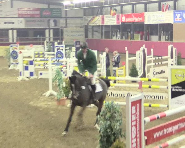 Hallenreitturnier Vlotho-Exter 2017