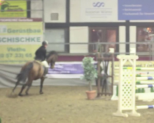 Hallenreitturnier Vlotho-Exter 2017