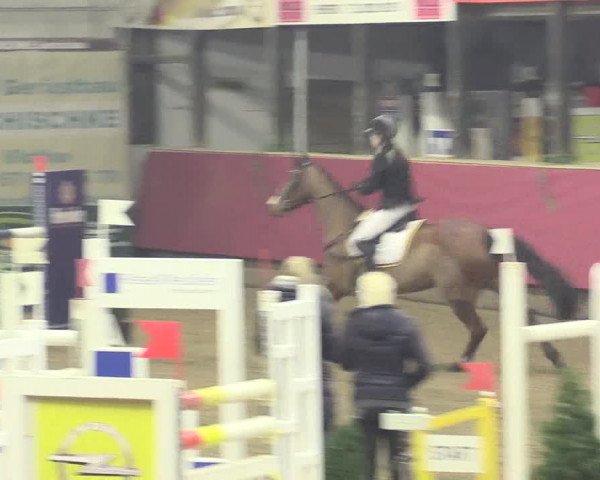 Hallenreitturnier Vlotho-Exter 2017