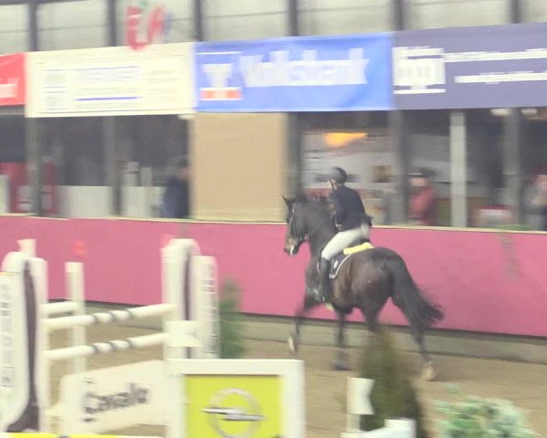 Hallenreitturnier Vlotho-Exter 2017