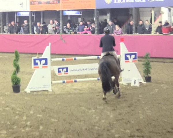 Hallenreitturnier Vlotho-Exter 2017