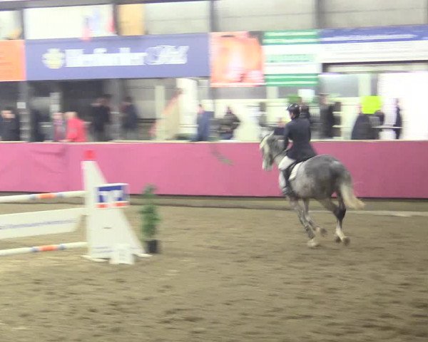 Hallenreitturnier Vlotho-Exter 2017