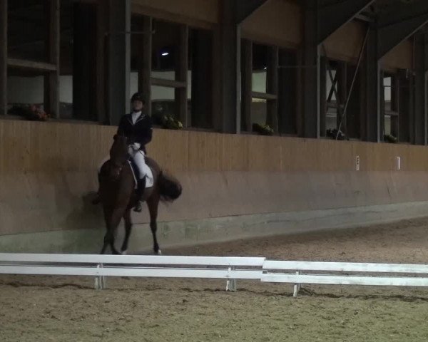 Reitturnier Mettmann - Reitanlage Löckenhoff 2017