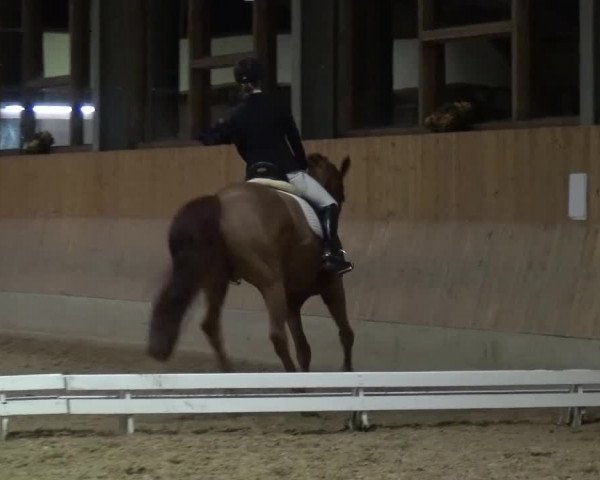Reitturnier Mettmann - Reitanlage Löckenhoff 2017