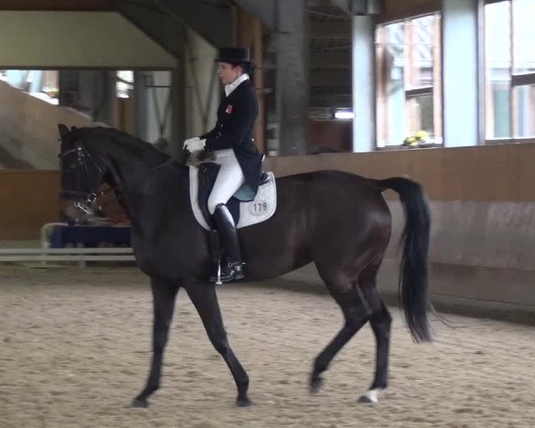 Reitturnier Mettmann - Reitanlage Löckenhoff 2017