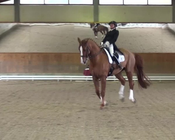 Reitturnier Mettmann - Reitanlage Löckenhoff 2017