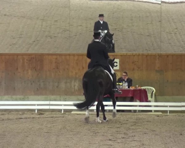 Reitturnier Mettmann - Reitanlage Löckenhoff 2017