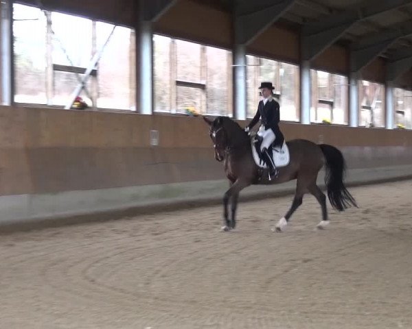 Reitturnier Mettmann - Reitanlage Löckenhoff 2017