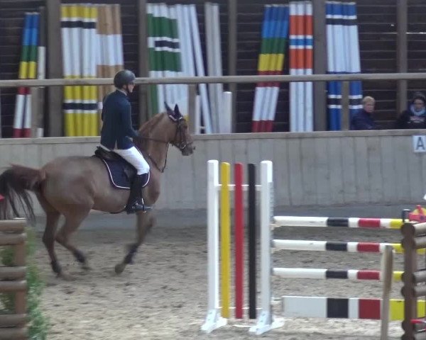 Reitturnier Heidelberg-Kirchheim 2017