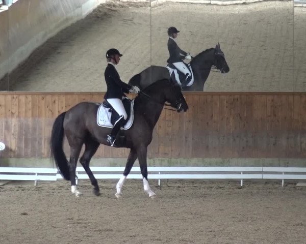 Reitturnier Mettmann - Reitanlage Löckenhoff 2017