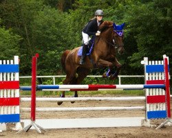 jumper Ibis 25 (Hanoverian, 2009, from Iberio)