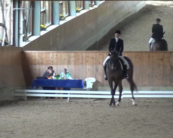 Reitturnier Mettmann - Reitanlage Löckenhoff 2017