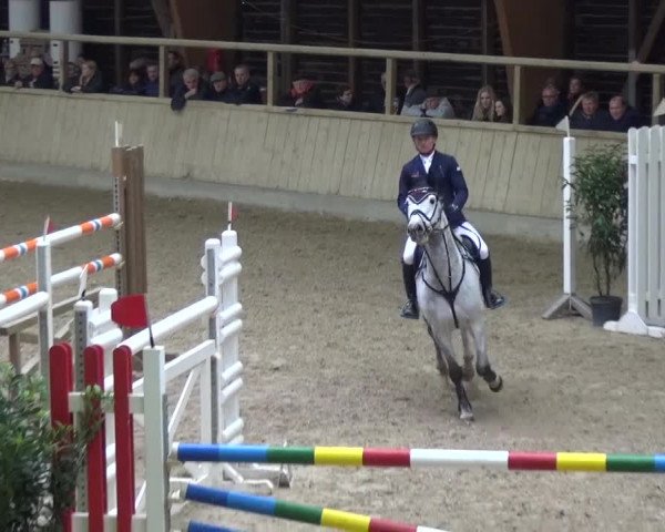 Reitturnier Heidelberg-Kirchheim 2017