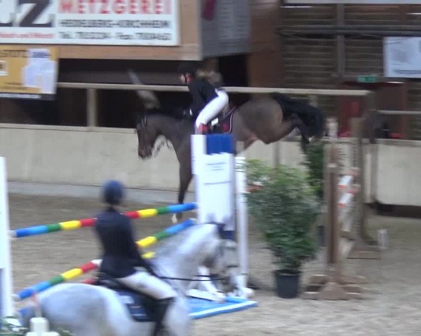Reitturnier Heidelberg-Kirchheim 2017