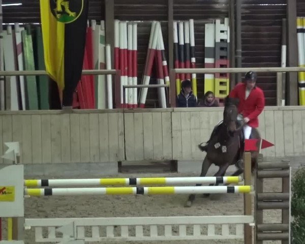 Reitturnier Heidelberg-Kirchheim 2017