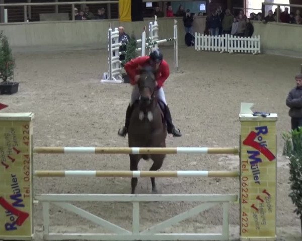 Reitturnier Heidelberg-Kirchheim 2017