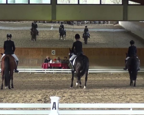 Reitturnier Mettmann - Reitanlage Löckenhoff 2017
